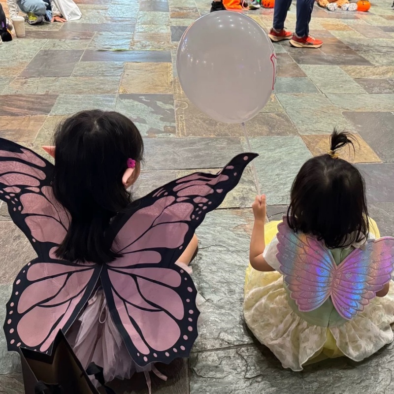 Cosplay Pink Butterfly Wings B - đánh giá và giá Baby Clothing Items
